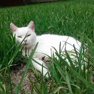 Meet your Posher, Hollymarie